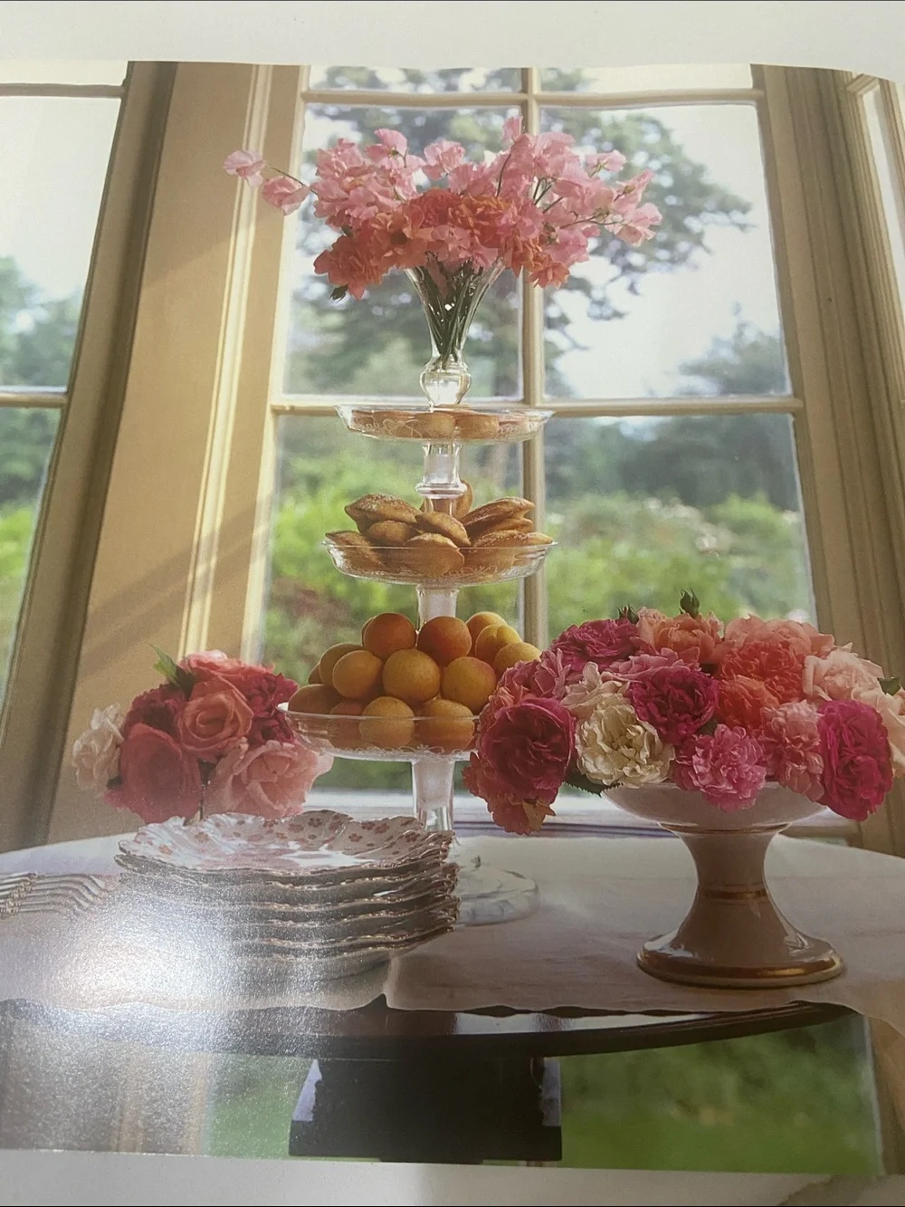 Martha Stewart martha stewart